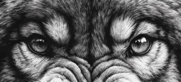 Cover photo for 6hosted