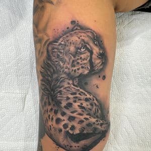 Black & Grey + Realism cheetah tattoo on Upper Arm by Inkflowjo on TattMe
