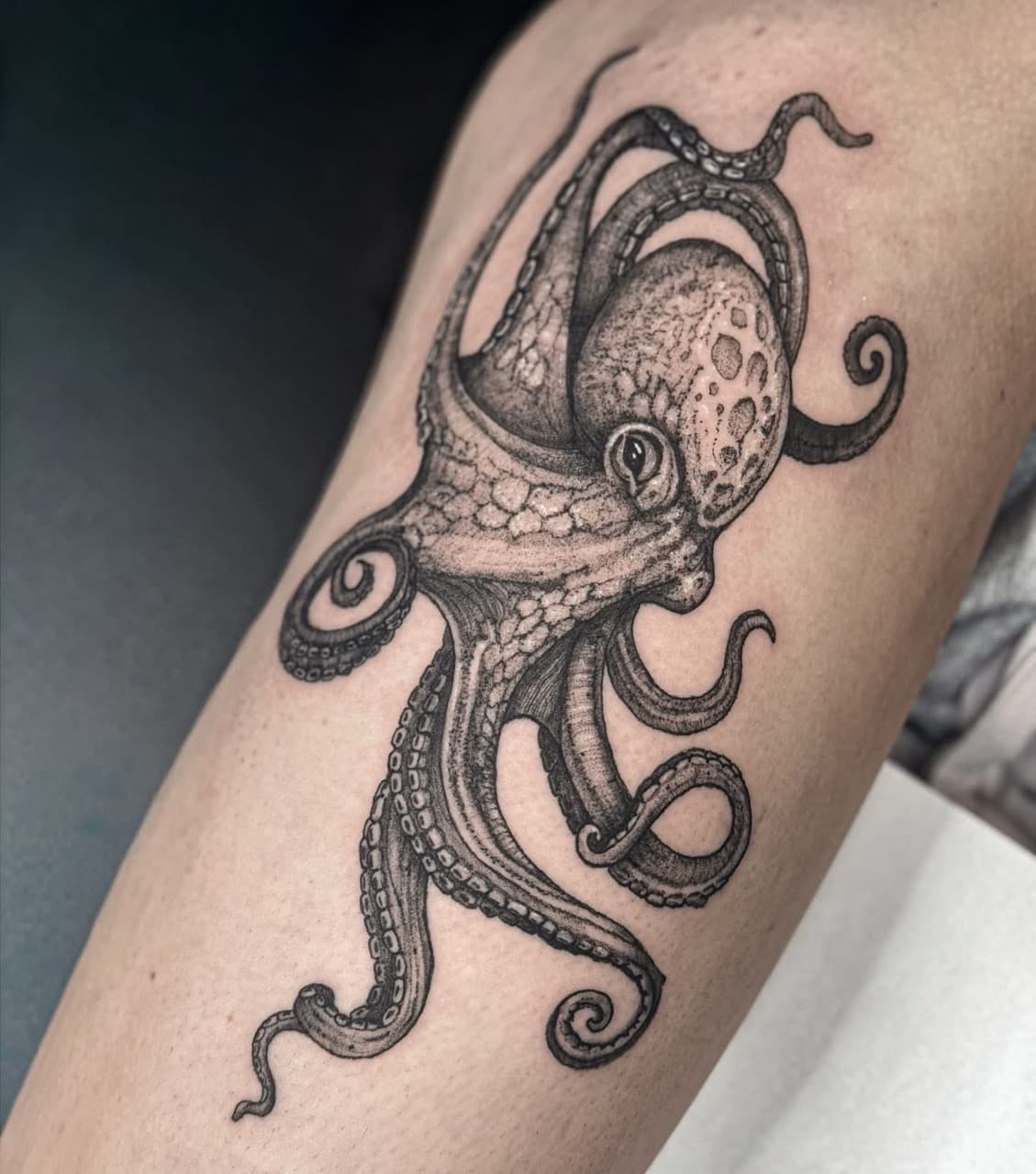 Black & Grey + Illustrative octopus tattoo on Upper Arm by Ashley_Jolly_Tattoo on TattMe