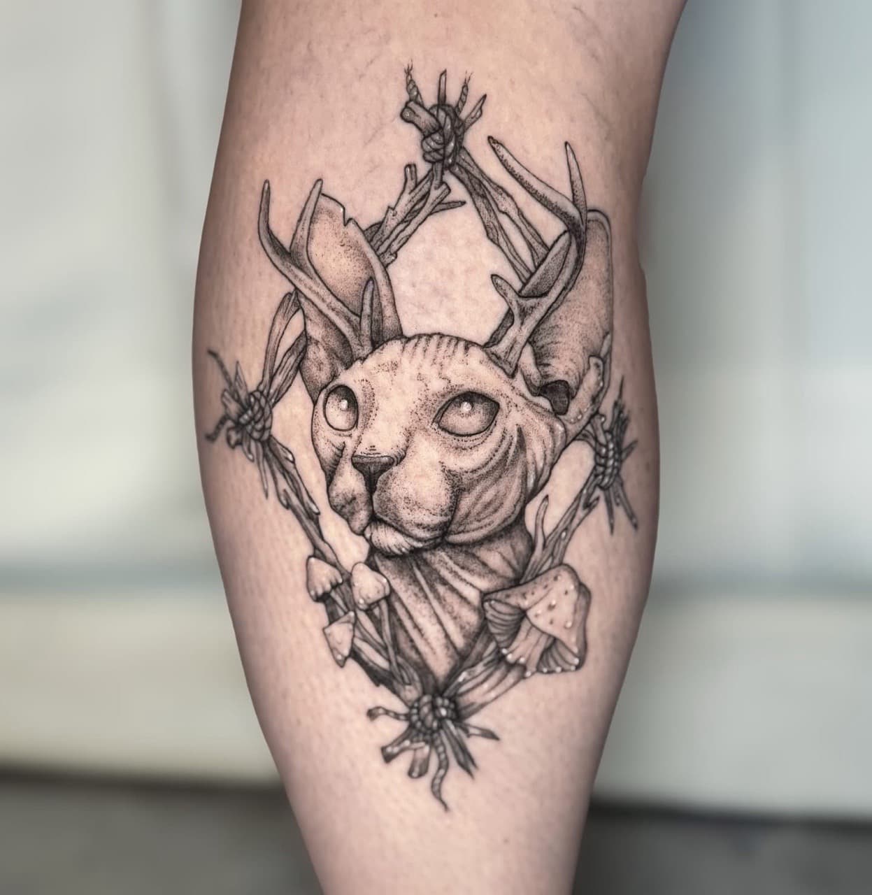 Black & Grey + Illustrative sphynx cat tattoo on Calf by Ashley_Jolly_Tattoo on TattMe