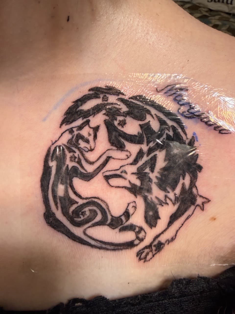 Black-work + Illustrative wolf tattoo on Chest by Apex_Effort_Studio on TattMe