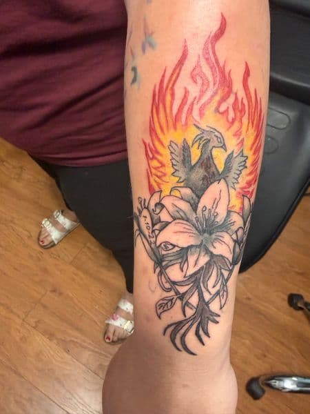 Color + Black & Grey phoenix tattoo on Forearm by Apex_Effort_Studio on TattMe
