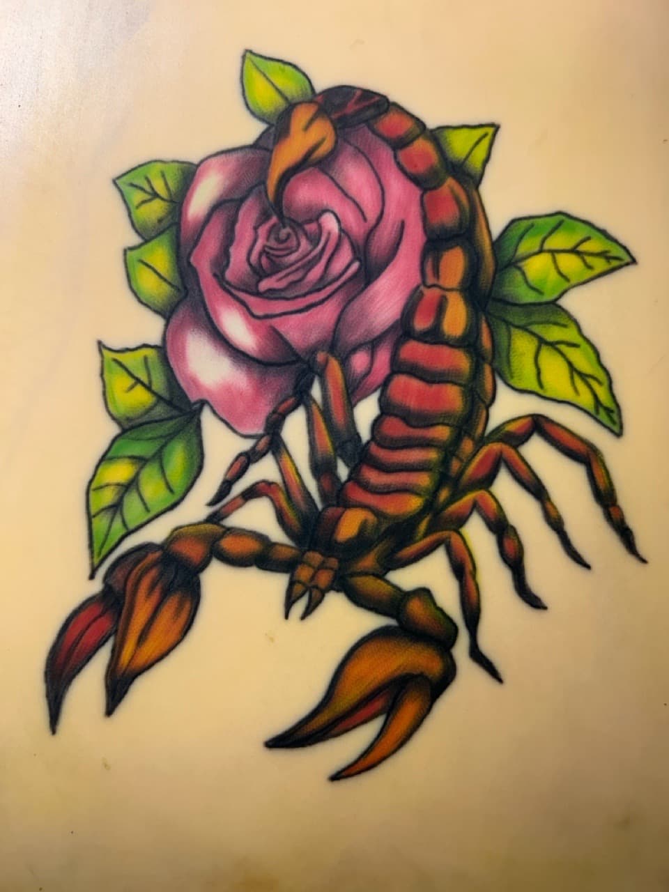 Traditional + Color scorpion tattoo by Apex_Effort_Studio on TattMe