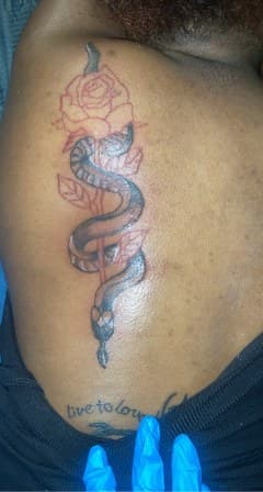 Fine Line + Black & Grey snake tattoo on Upper Back by MindBodyInkStudio on TattMe