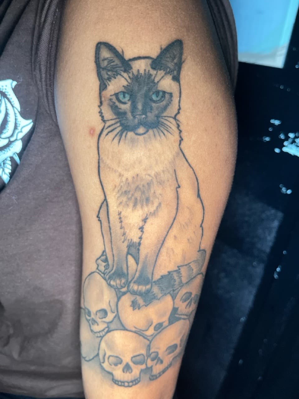Black & Grey + Illustrative cat tattoo on Upper Arm by Rey_Sanchez on TattMe