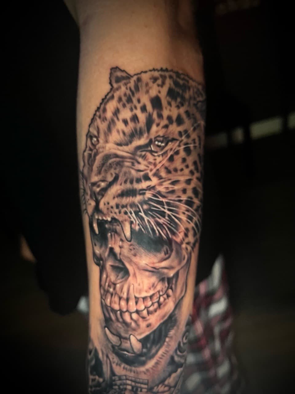 Black & Grey + Realism leopard tattoo on Forearm by Rey_Sanchez on TattMe