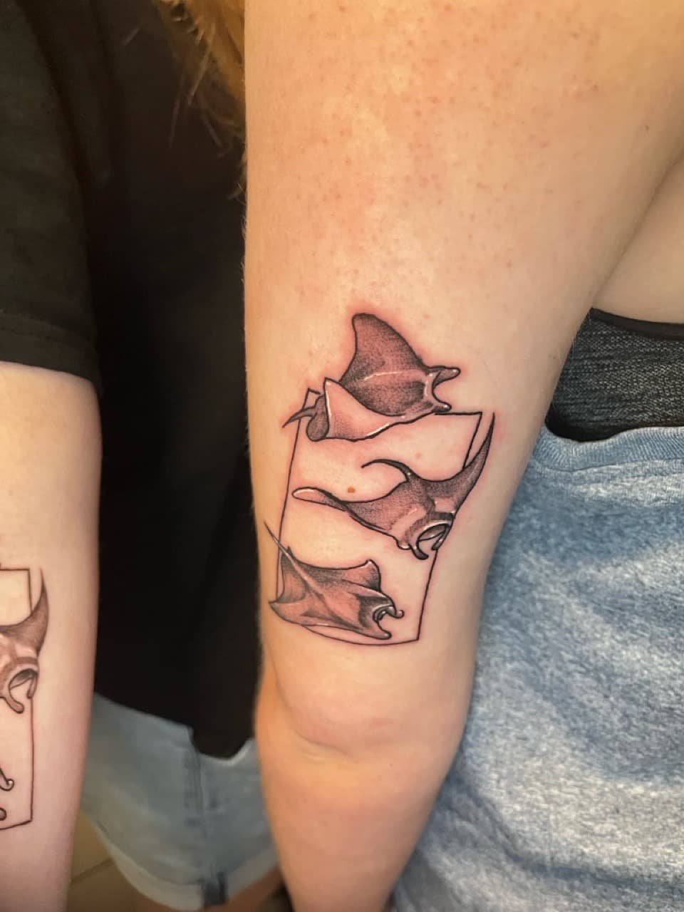 Fine Line + Black & Grey manta rays tattoo on Upper Arm by Rey_Sanchez on TattMe