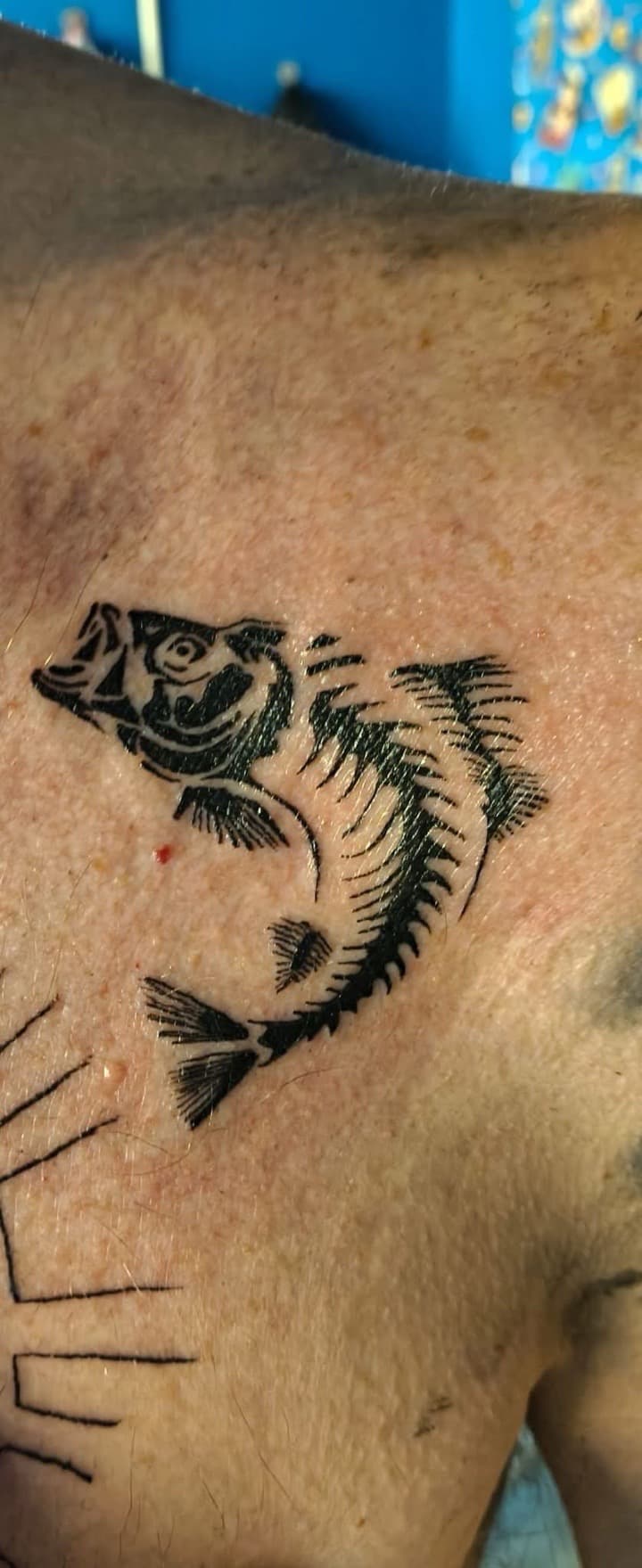 Black-work + Illustrative fish tattoo on Shoulder by Night_Veil_Ink on TattMe