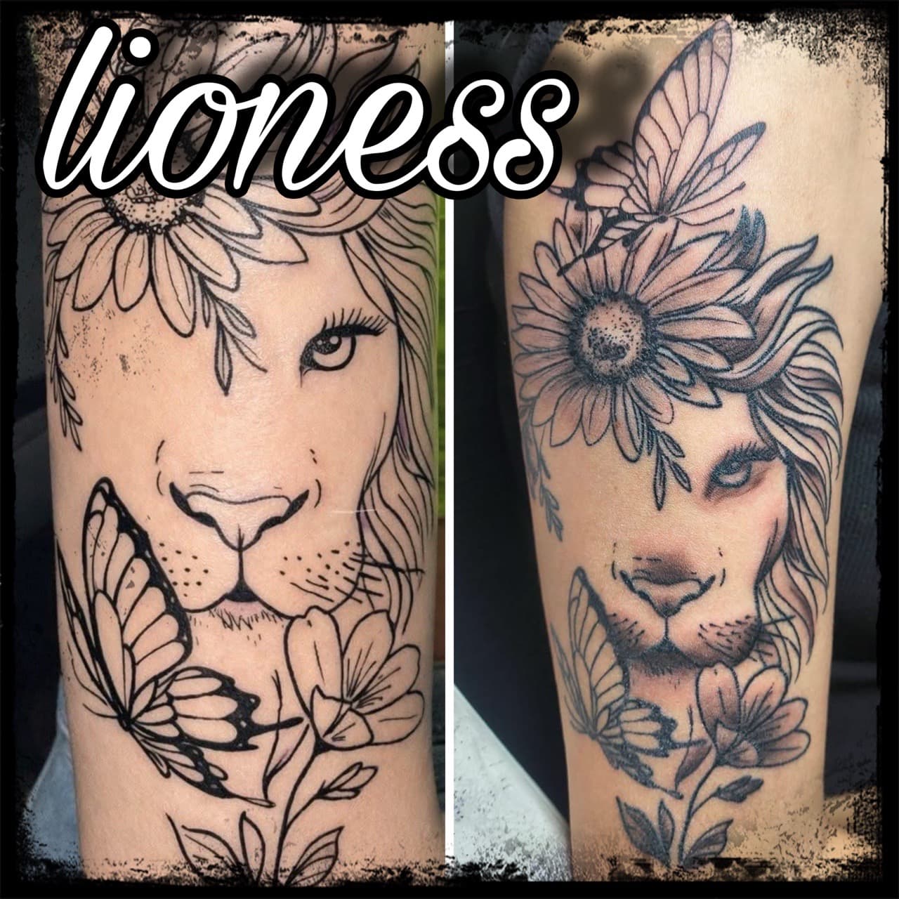 Illustrative + Black & Grey lioness tattoo on Forearm by Night_Veil_Ink on TattMe