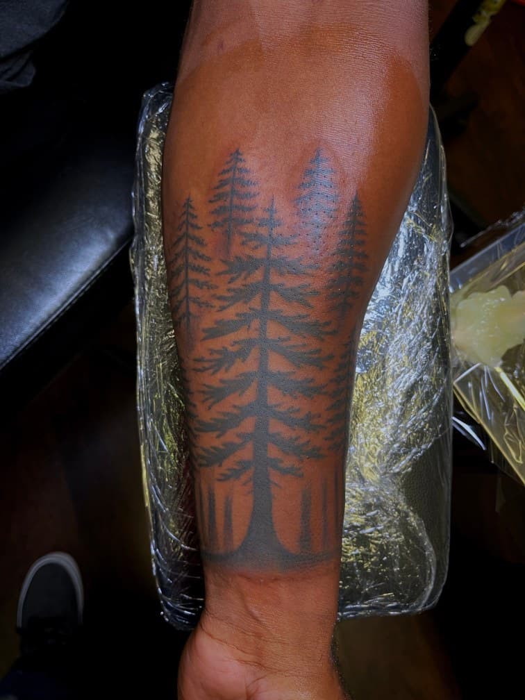 Black & Grey + Illustrative pine trees tattoo on Forearm by Shuri_Tatts on TattMe