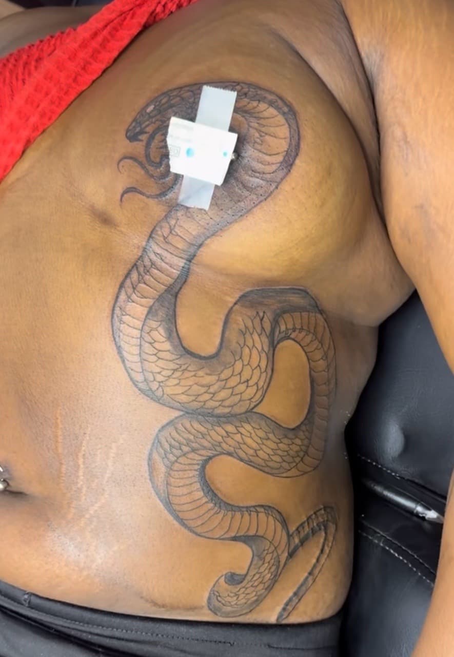 Line-work + Black-work snake tattoo on Side (Torso) by Speedytattoos on TattMe