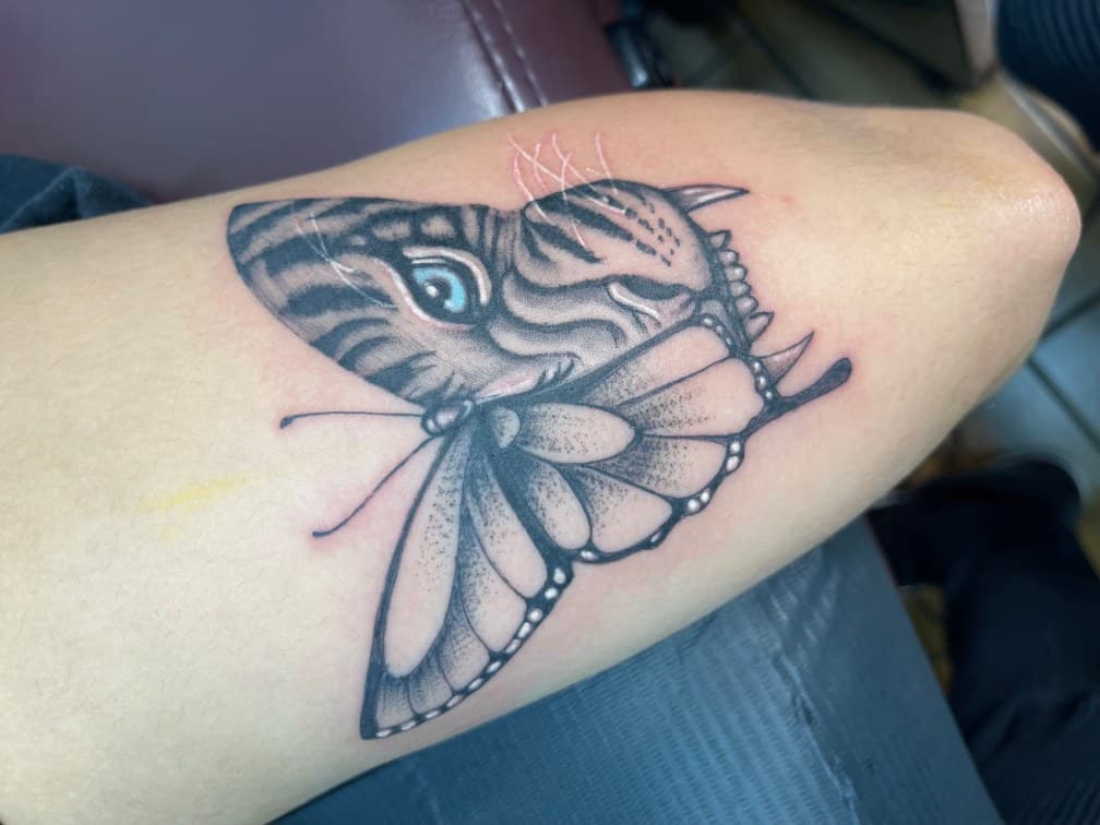 Black & Grey + Illustrative butterfly tattoo on Forearm by Chris on TattMe