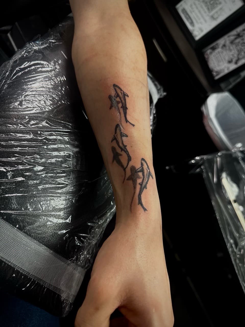 Fine Line + Black-work sharks tattoo on Forearm by Tattoos_by_Haylee on TattMe