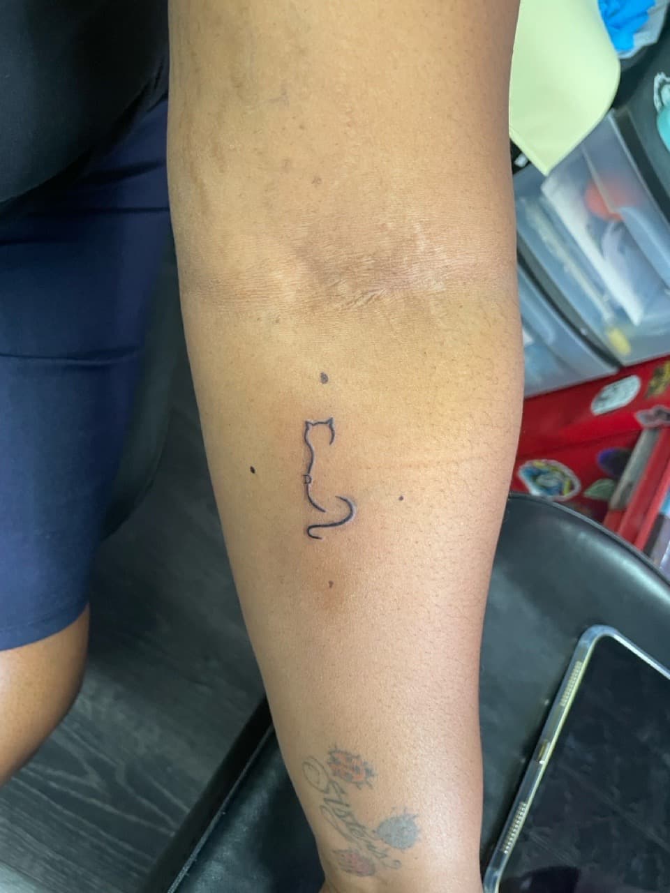 Fine Line + Minimalist cat tattoo on Forearm by Ariesinkedme on TattMe