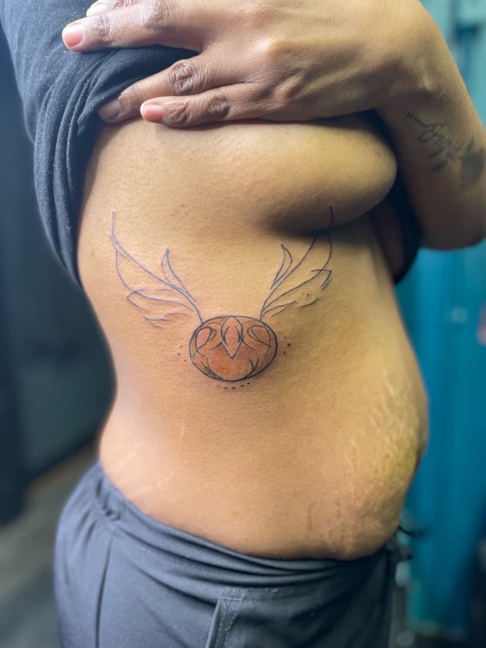 Fine Line + Dot-work snitch tattoo on Ribs by Ariesinkedme on TattMe