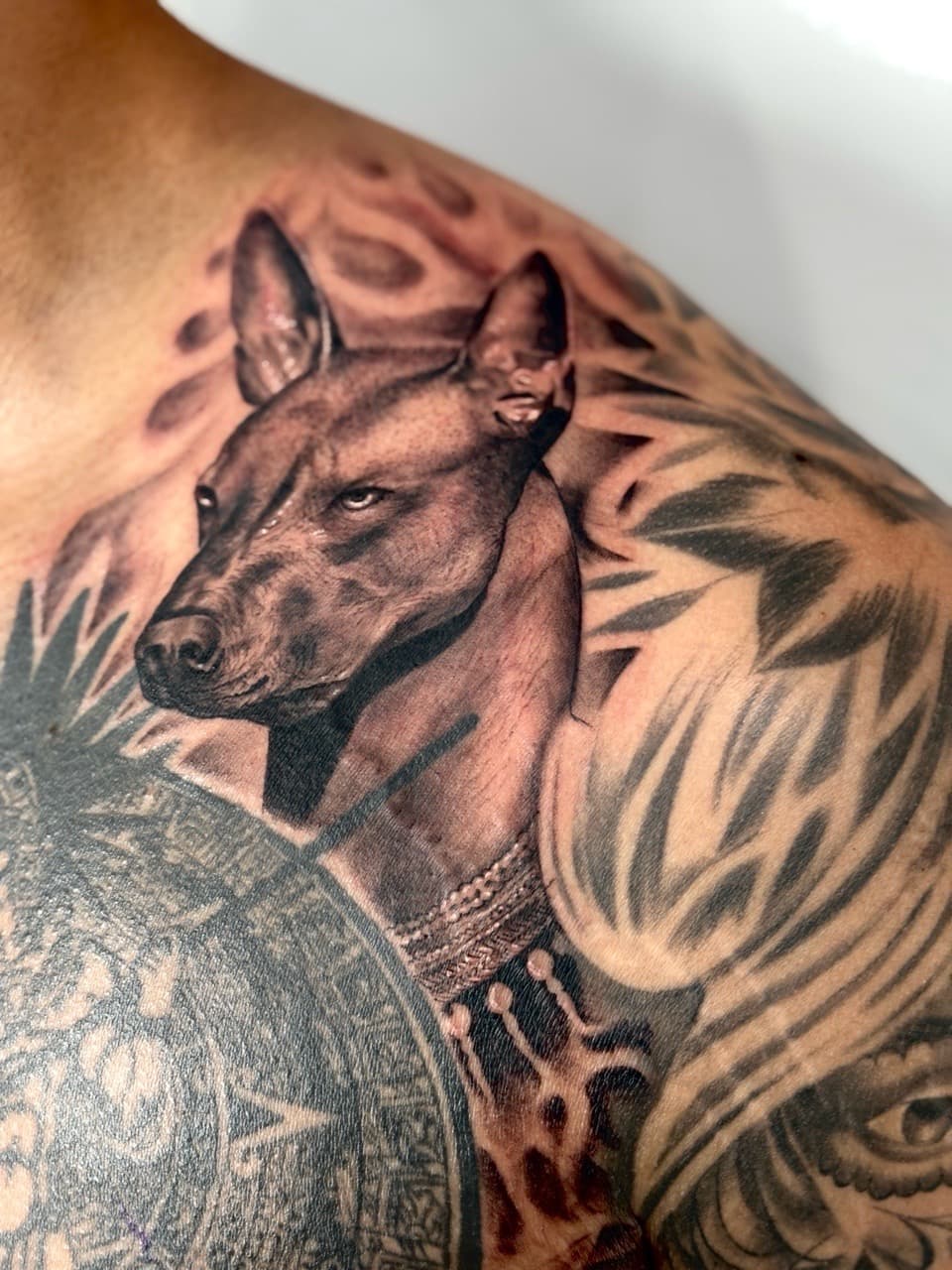 Realism + Black & Grey dog tattoo on Shoulder by Damionjonestattoos on TattMe