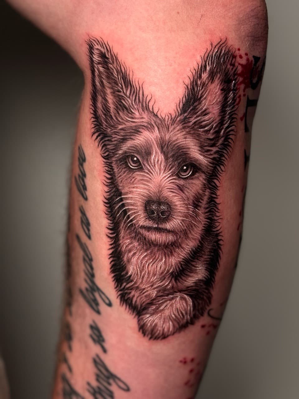 Black & Grey + Realism dog tattoo on Upper Arm by Damionjonestattoos on TattMe