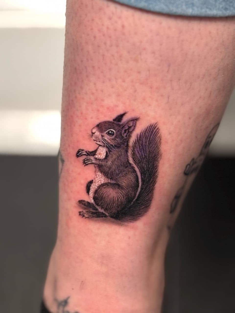Illustrative + Fine Line squirrel tattoo on Thigh by Damionjonestattoos on TattMe