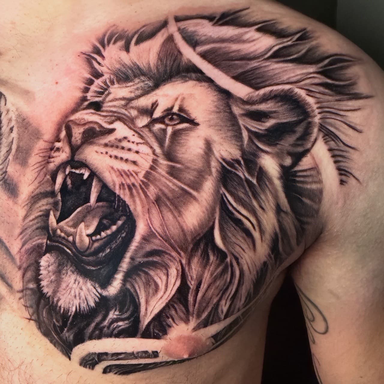 Realism + Black & Grey lion tattoo on Chest by Noticeink on TattMe