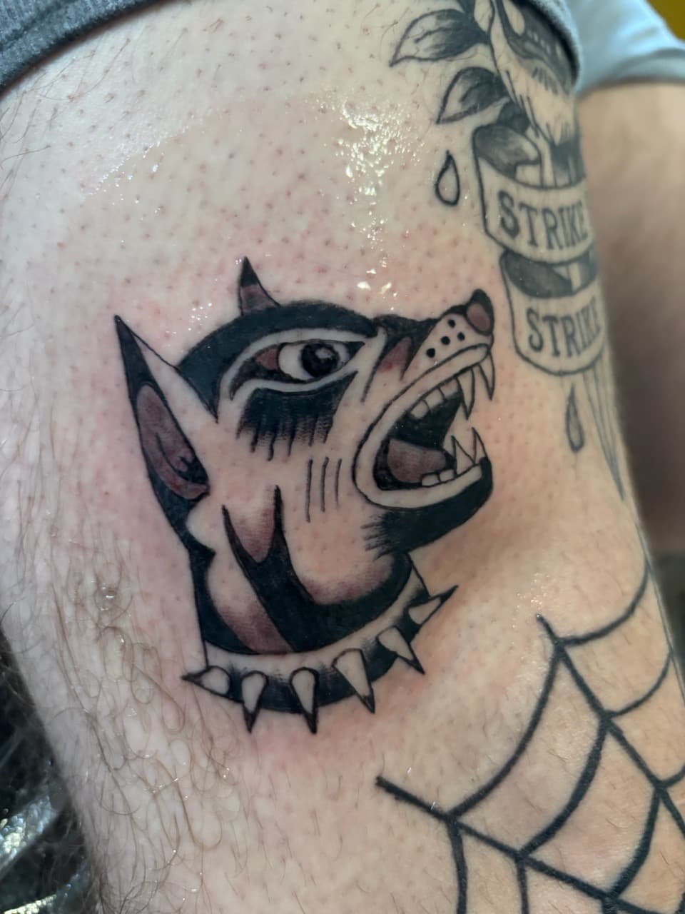 Traditional + American Traditional dog tattoo on Thigh by Skull_Brothers_Ink on TattMe