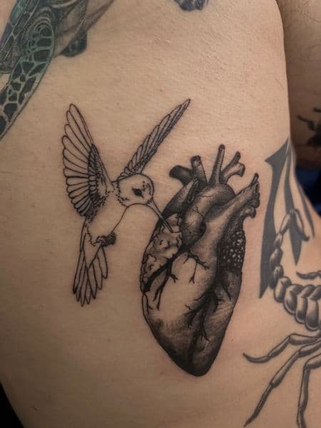 Fine Line + Black & Grey hummingbird tattoo on Side (Torso) by Skull_Brothers_Ink on TattMe