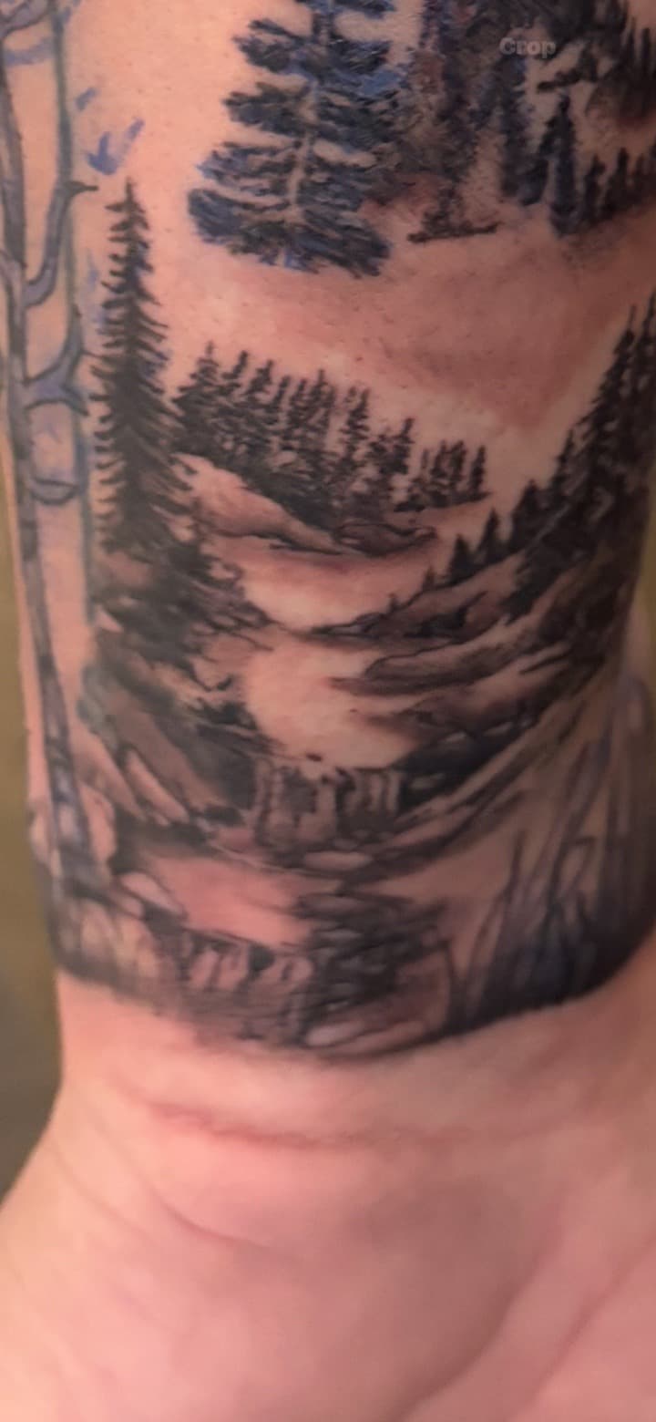 Black & Grey + Illustrative forest tattoo on Wrist by Skull_Brothers_Ink on TattMe