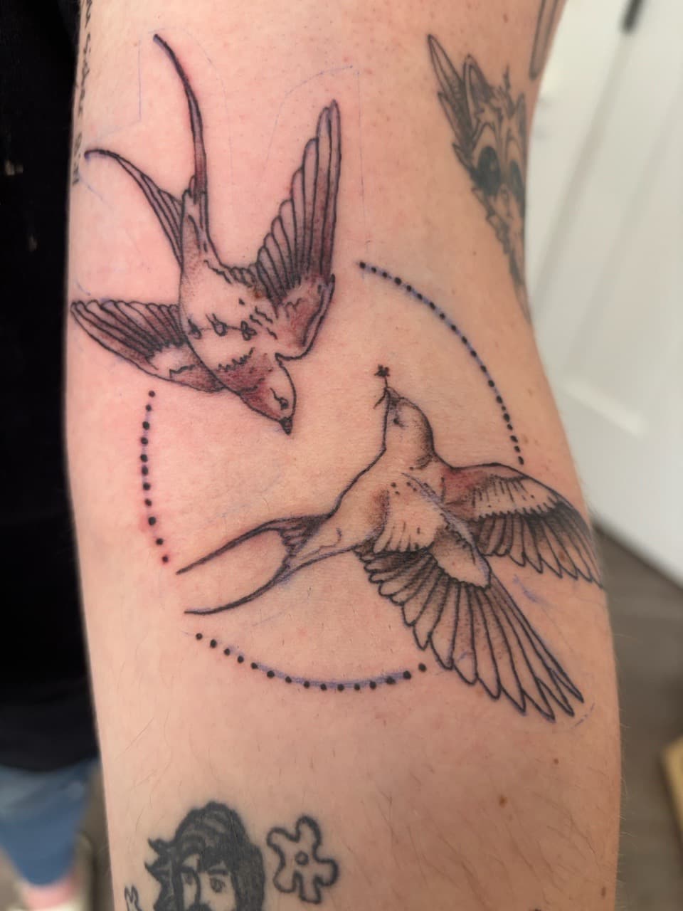 Fine Line + Illustrative swallows tattoo on Forearm by Skull_Brothers_Ink on TattMe