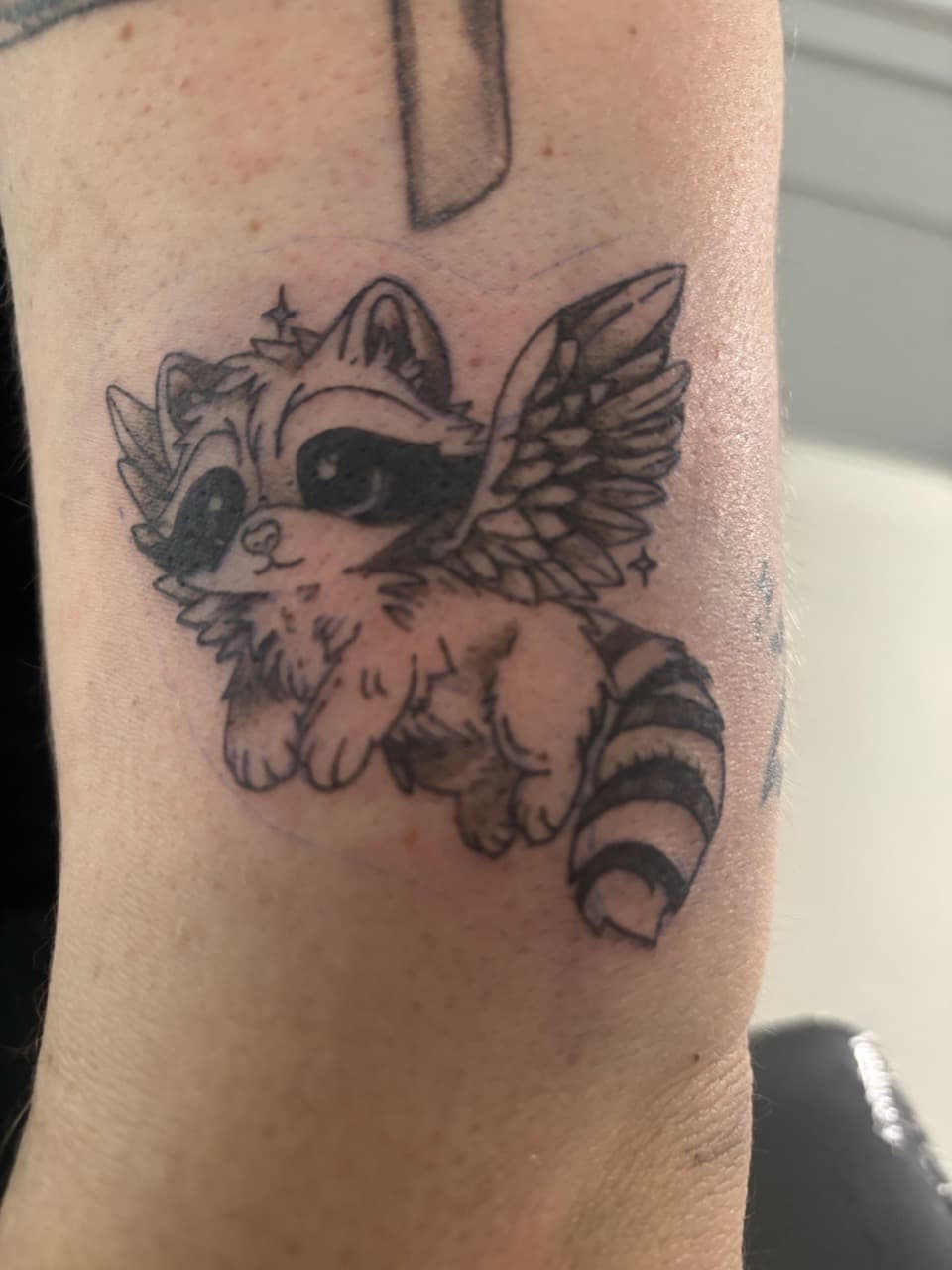 Cartoon + Black & Grey raccoon tattoo on Upper Arm by Skull_Brothers_Ink on TattMe