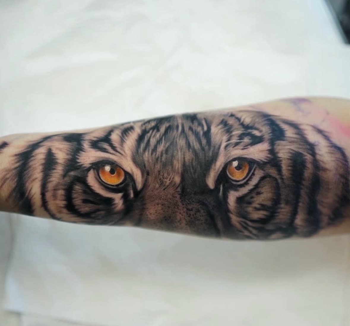 Realism + Black & Grey tiger tattoo on Forearm by Handrosart on TattMe