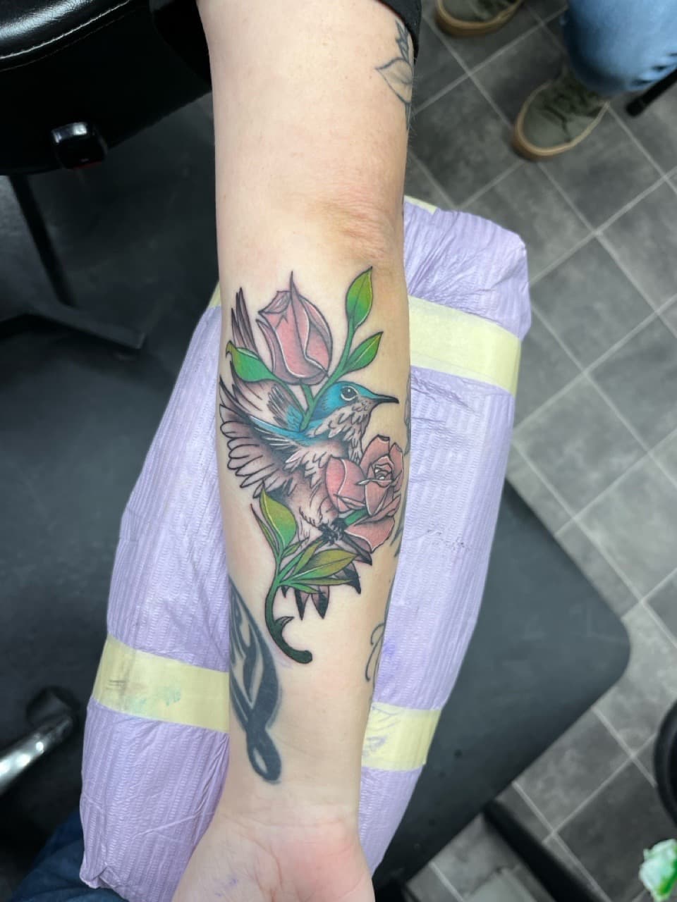 Color + Illustrative bird tattoo on Forearm by Kneedeep_tattoos on TattMe