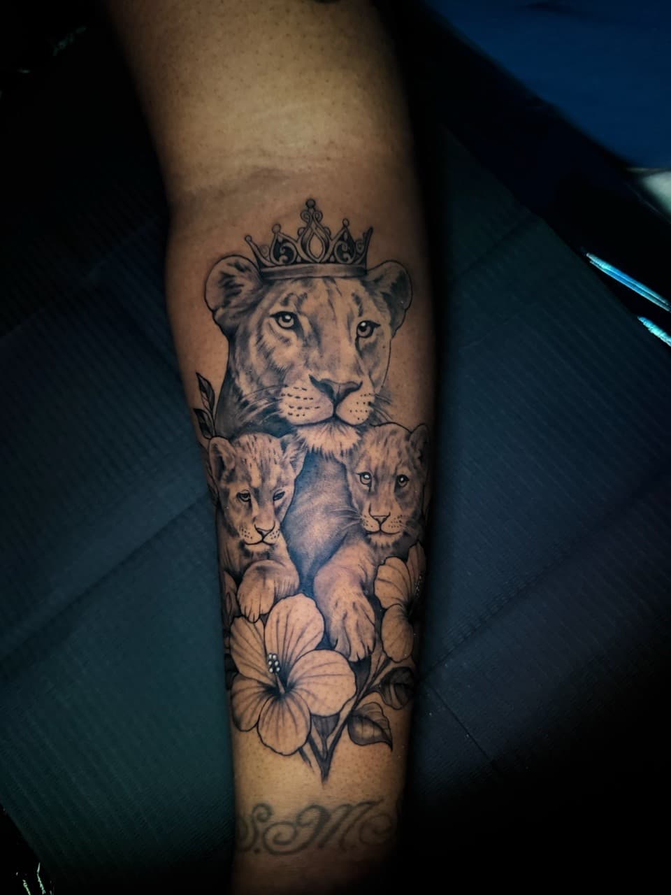 Black & Grey + Realism lioness tattoo on Upper Arm by Arink_Tattoo on TattMe