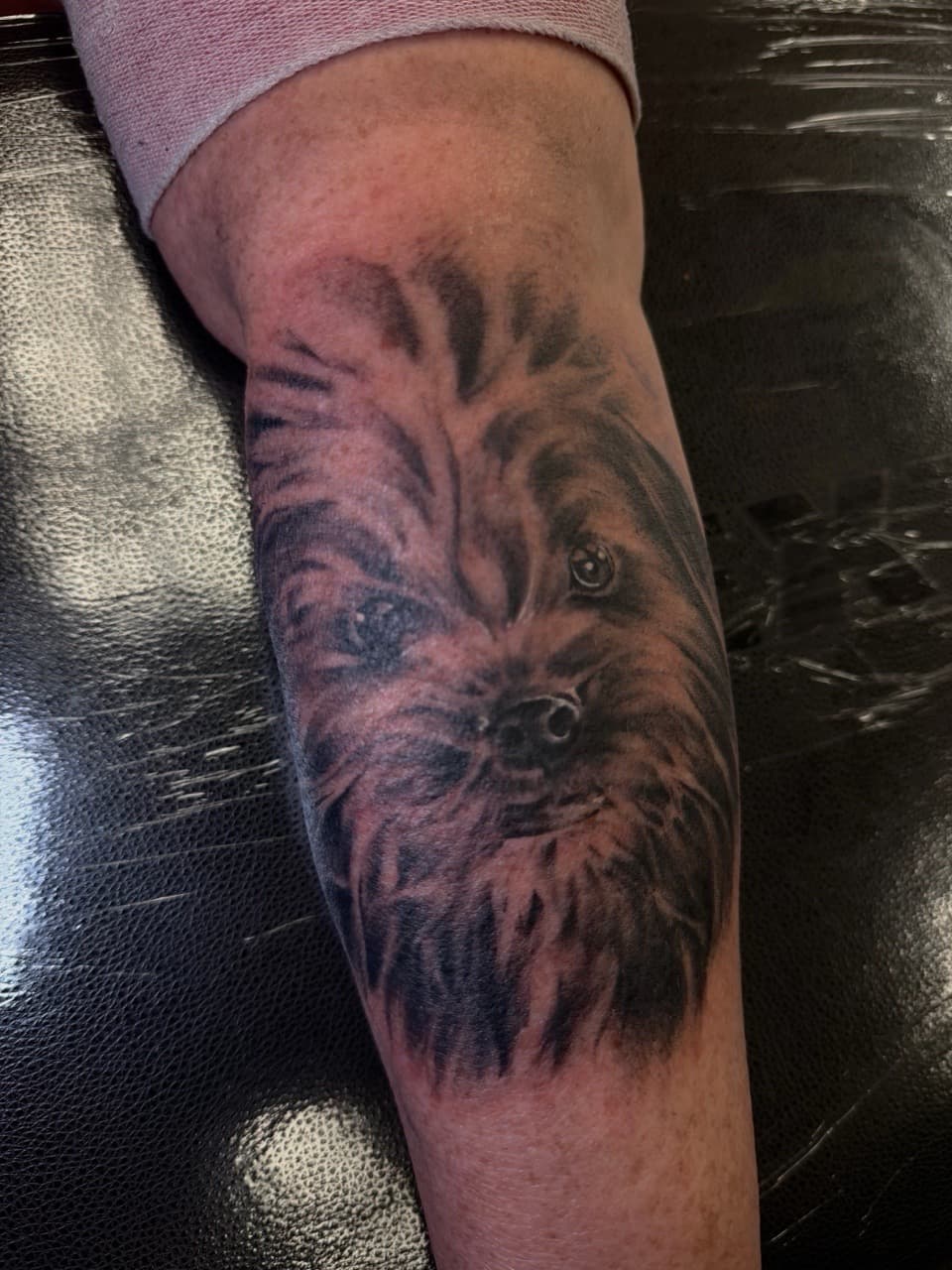 Black & Grey + Realism dog tattoo on Forearm by Radtattoo on TattMe