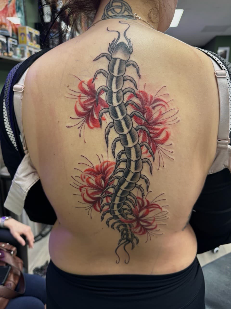 Black & Grey + Illustrative centipede tattoo on Spine by Radtattoo on TattMe