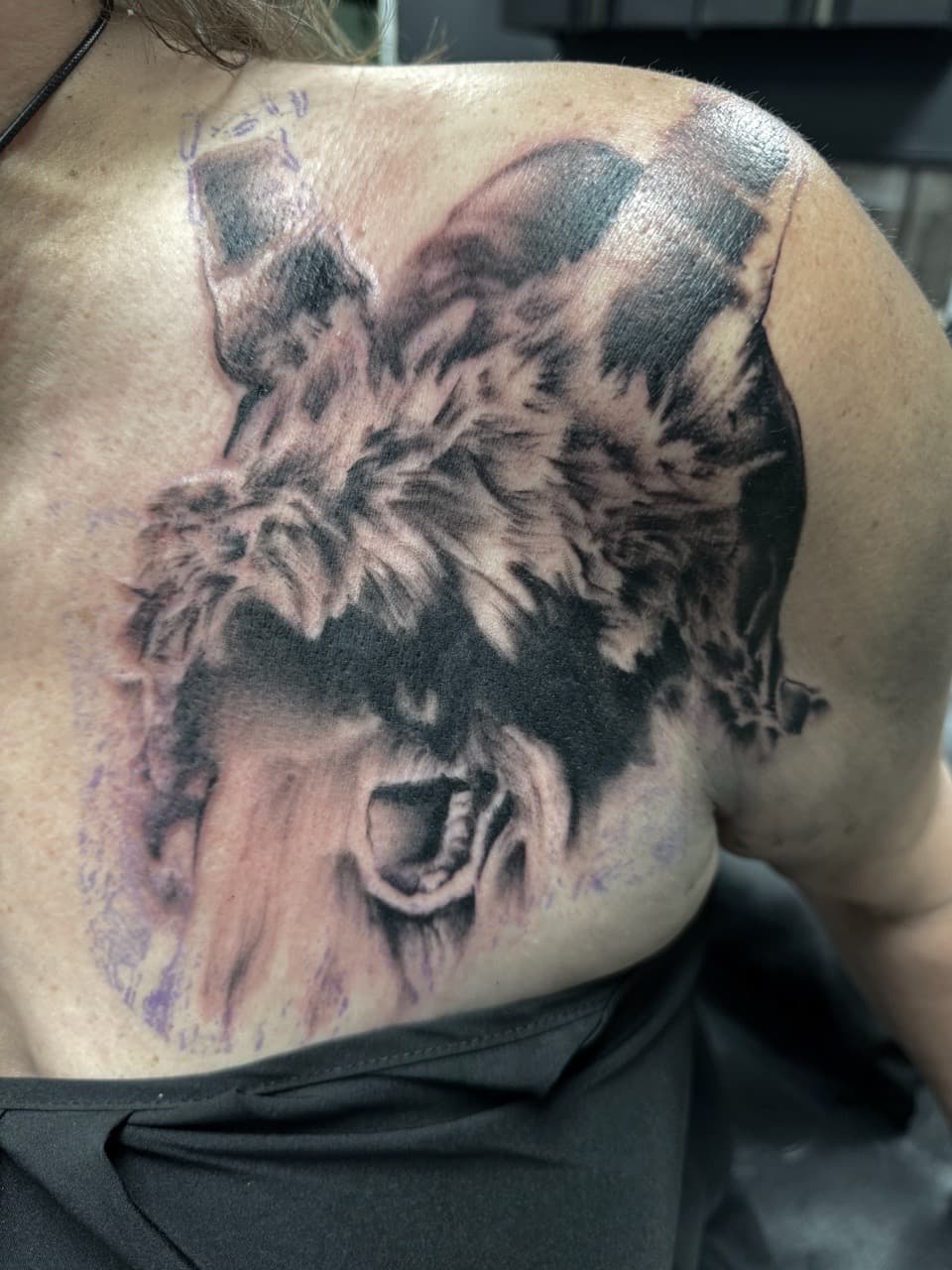 Black & Grey + Realism lion tattoo on Upper Back by Radtattoo on TattMe
