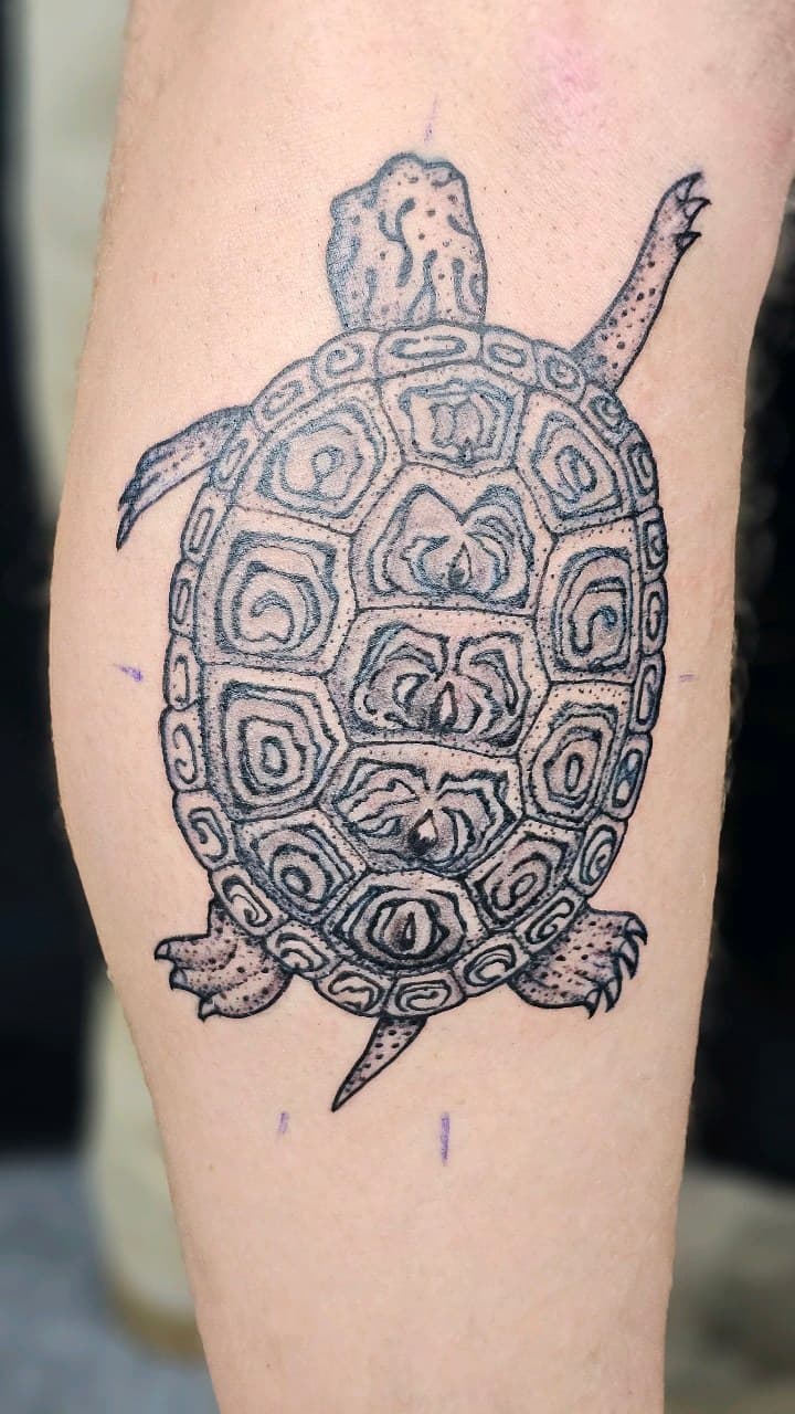 Black & Grey + Line-work turtle tattoo on Calf by Selva_Tierra_Tattoos on TattMe