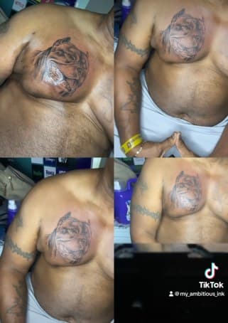 Black & Grey + Realism pitbull tattoo on Chest by Lo_Mann on TattMe