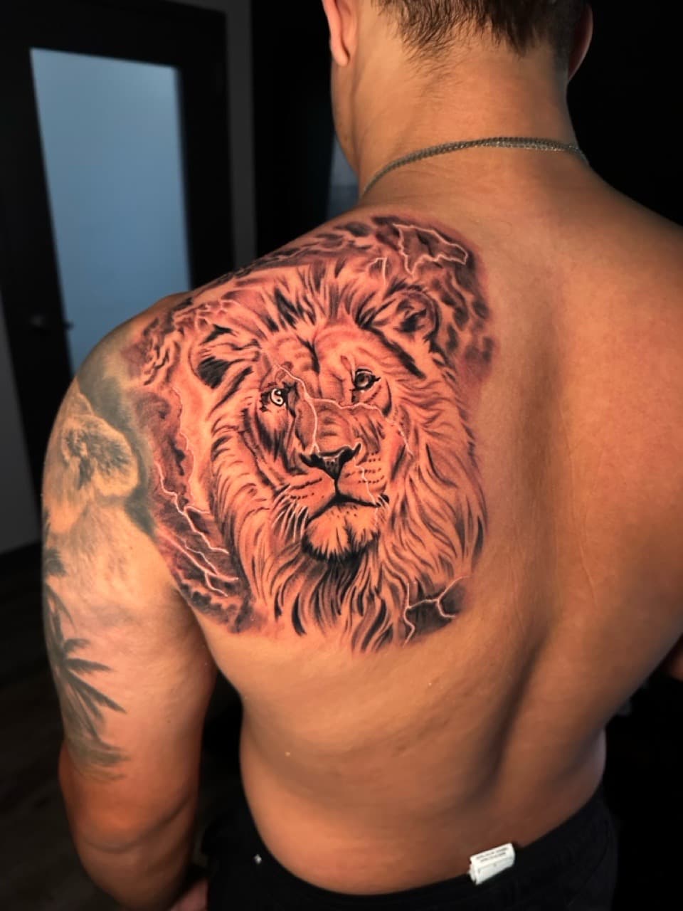 Black & Grey + Realism lion tattoo on Shoulder Blade by Christopher_Ink on TattMe