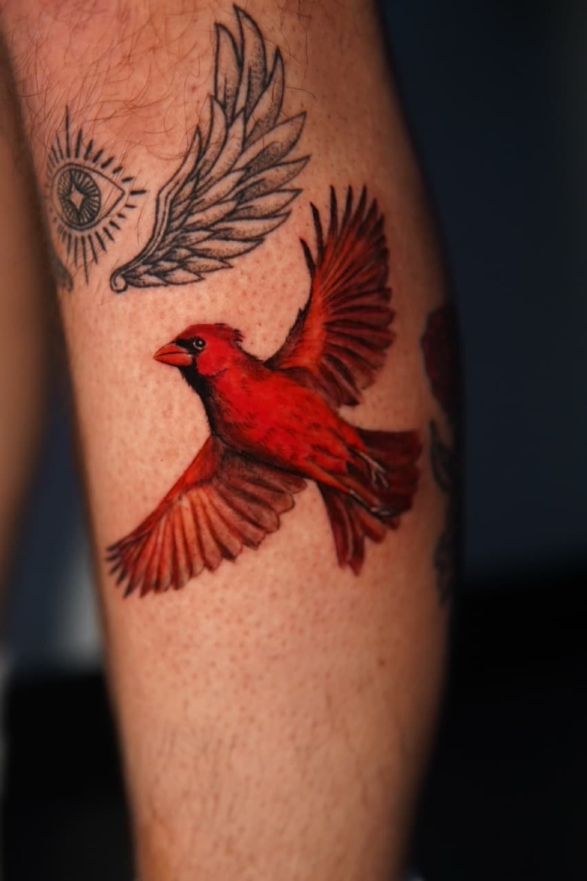 Color + Illustrative cardinal tattoo on Forearm by Moe_Tatts on TattMe