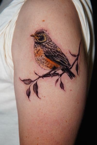 Realism + Illustrative bird tattoo on Upper Arm by Moe_Tatts on TattMe