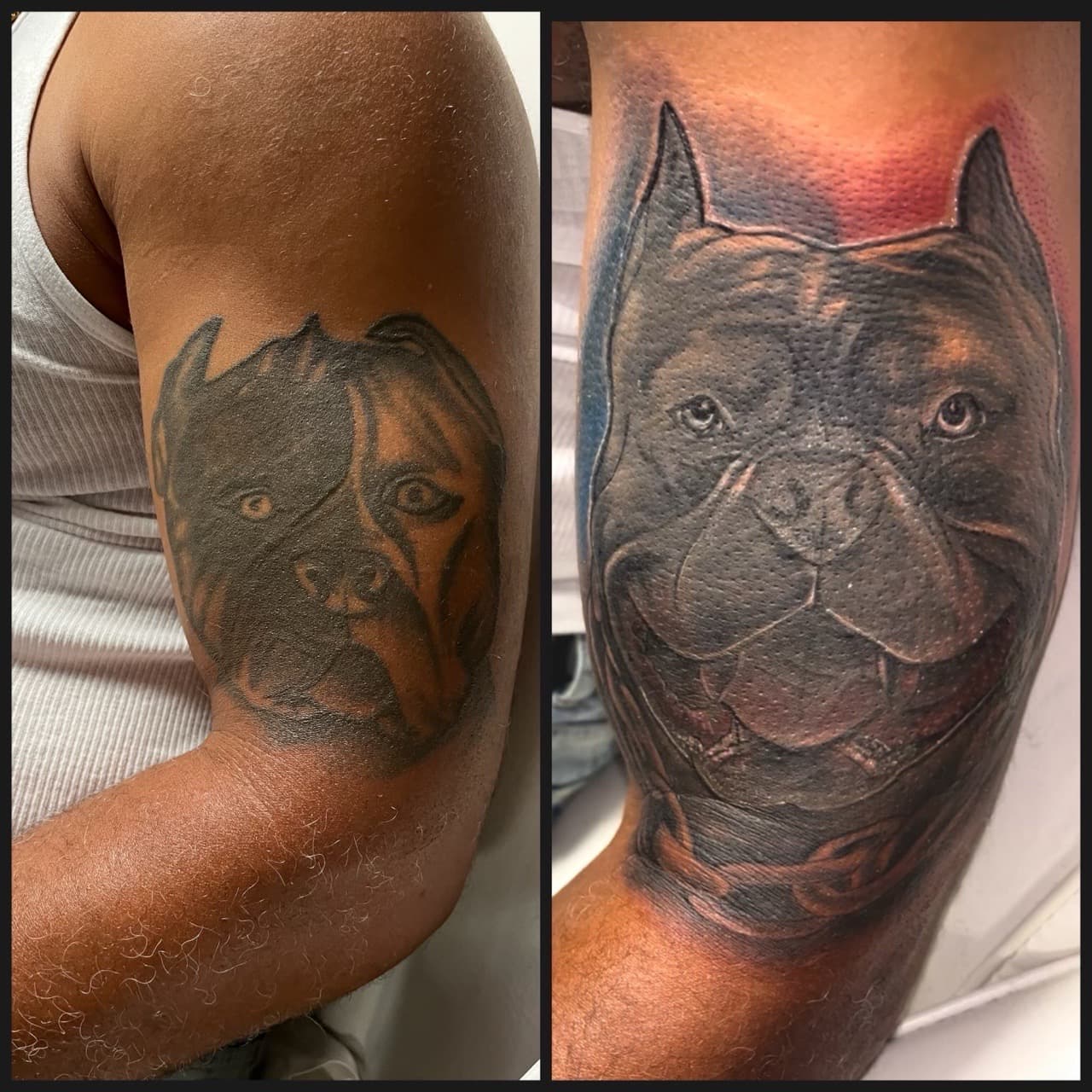 Realism + Black & Grey pitbull tattoo on Upper Arm by Moeinkk on TattMe