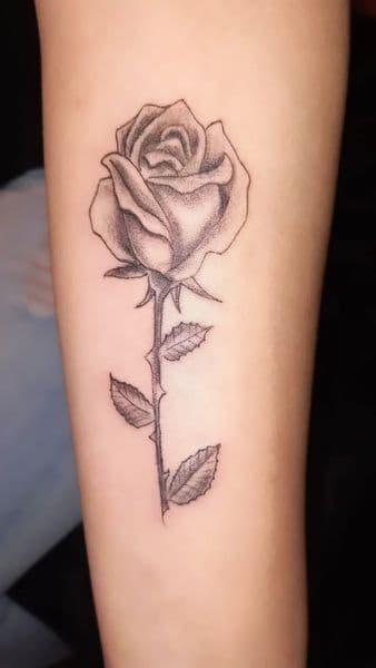 Black & Grey + Dot-work rose tattoo on Forearm by Alejandro_Calderon on TattMe