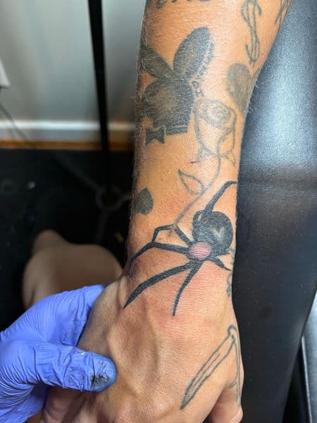 Black & Grey + Illustrative spider tattoo on Forearm by TattedbyJayden on TattMe