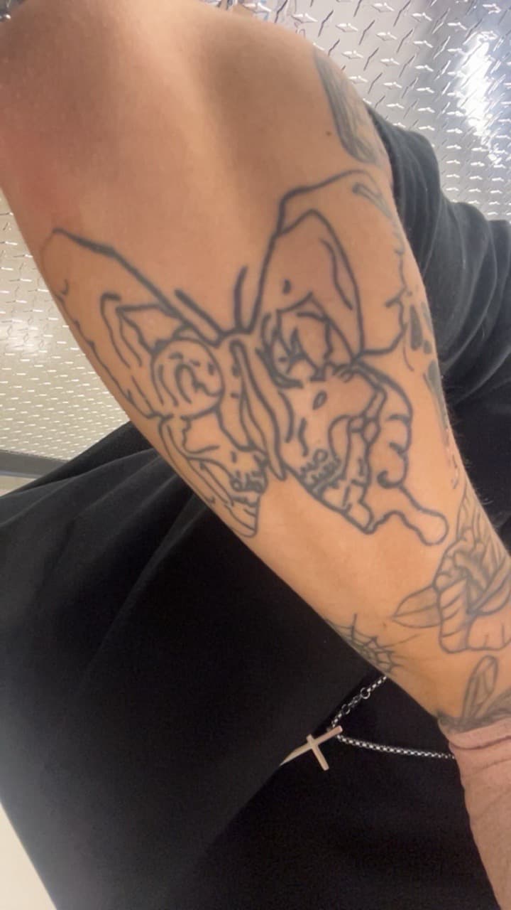 Line-work + Illustrative butterfly tattoo on Forearm by Sang_Mythos_Tattoo on TattMe