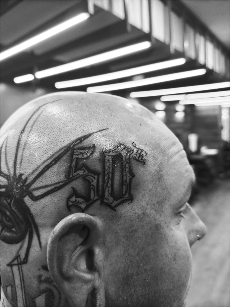 Black & Grey + Lettering spider tattoo on Scalp by AidanTattoos on TattMe