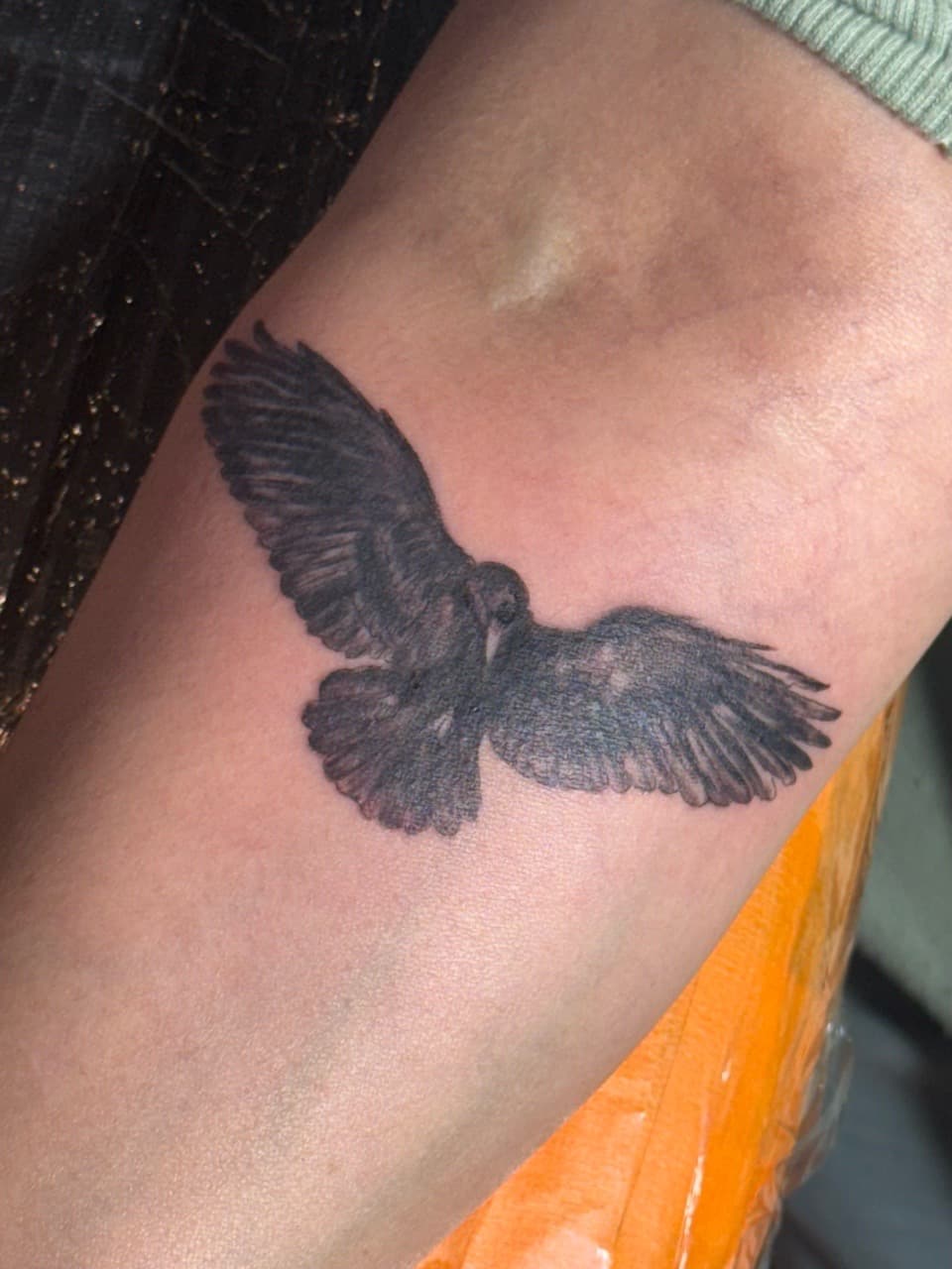 Black & Grey + Illustrative bird tattoo on Forearm by William_Samaras on TattMe