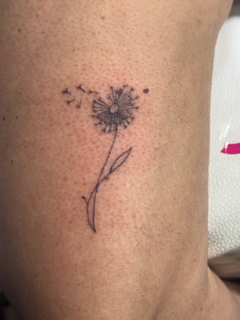Fine Line + Minimalist dandelion tattoo on Upper Arm by William_Samaras on TattMe