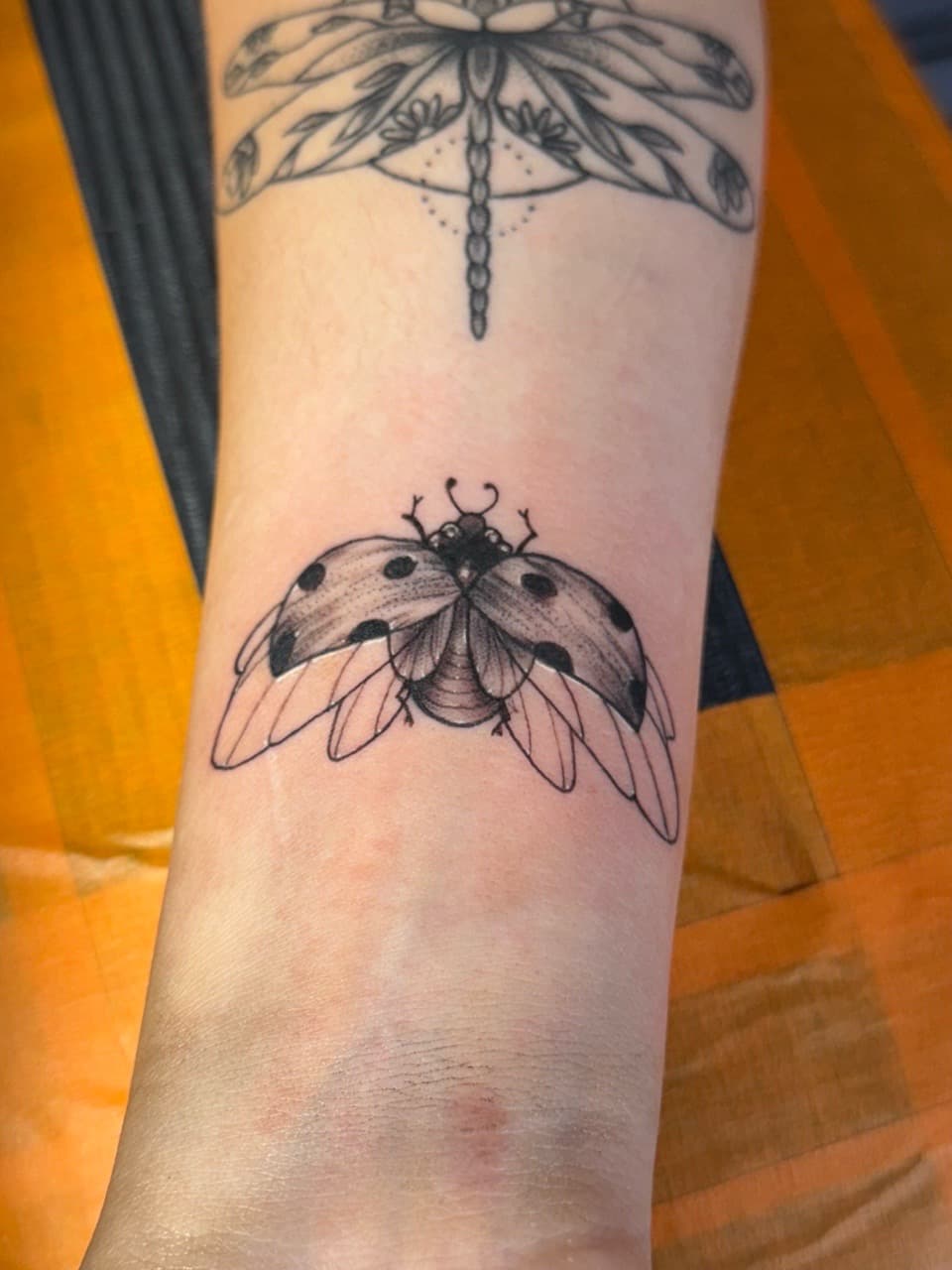 Fine Line + Black & Grey ladybug tattoo on Forearm by William_Samaras on TattMe