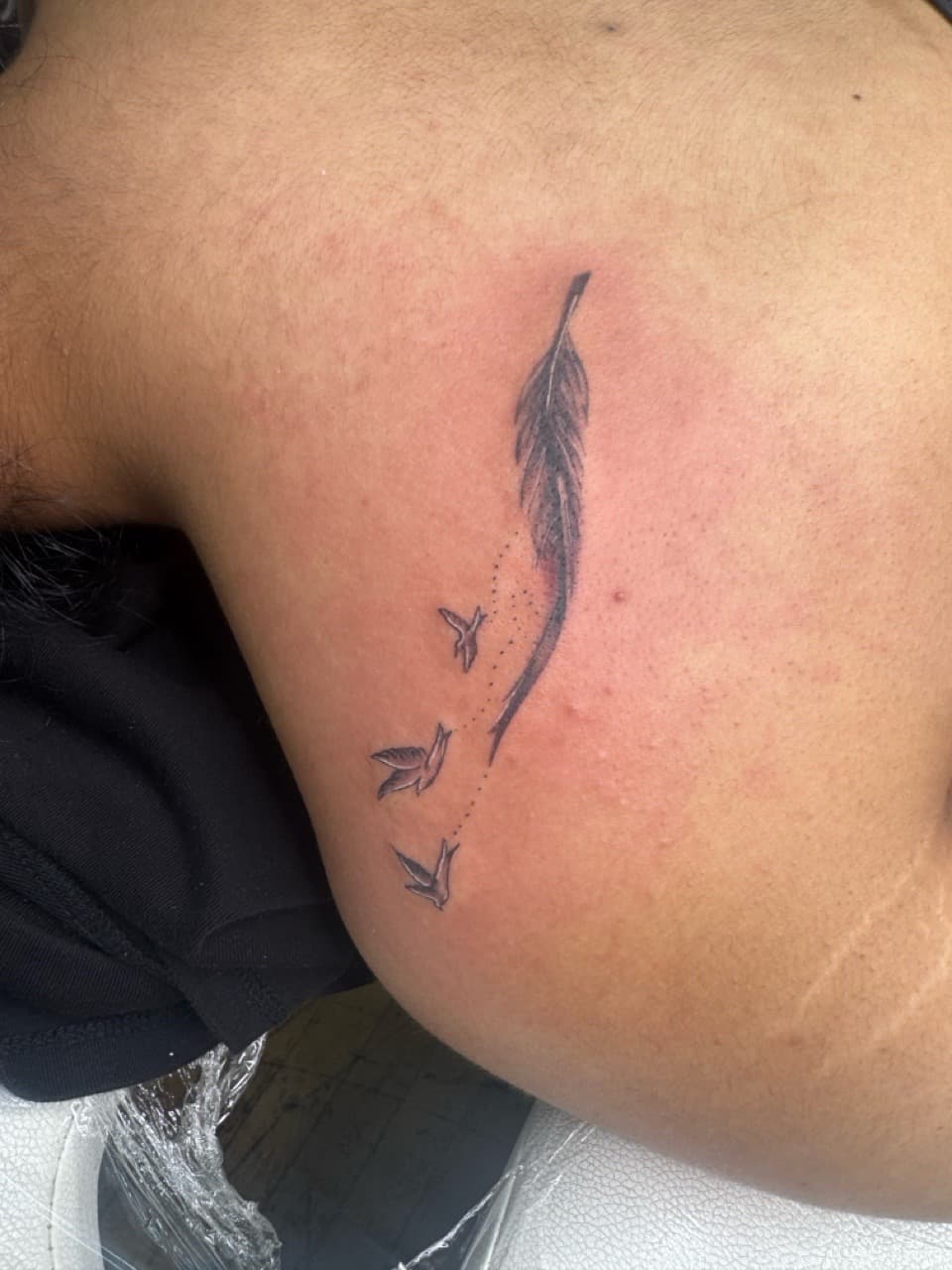 Fine Line + Black & Grey feather tattoo on Upper Arm by William_Samaras on TattMe