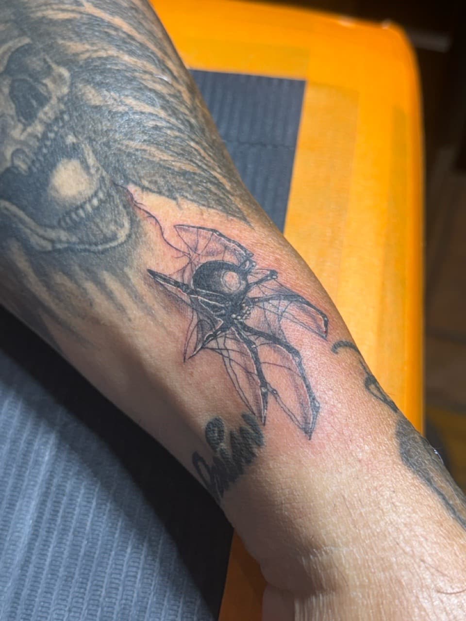 Fine Line + Black-work spider tattoo on Forearm by William_Samaras on TattMe