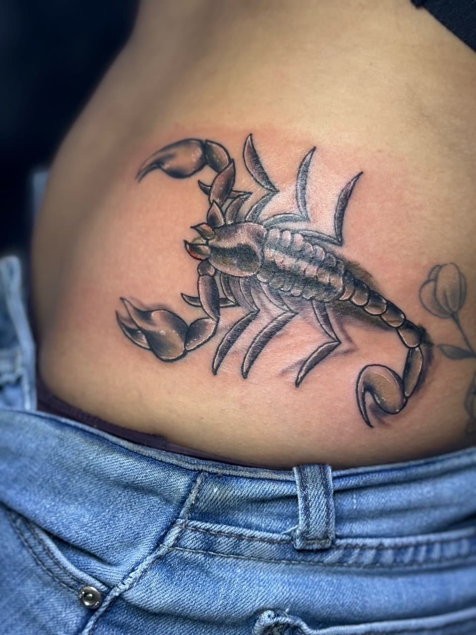 Black & Grey + Illustrative scorpion tattoo on Lower Back by William_Samaras on TattMe